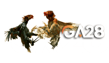 GA28